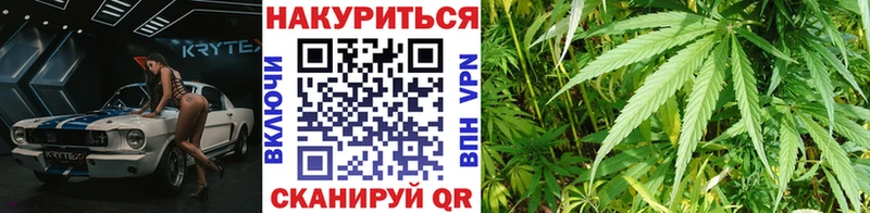 наркота  Чегем  Бошки марихуана планчик 
